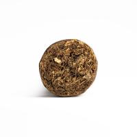 CAO Pilon Robusto Cigar - 1 Single